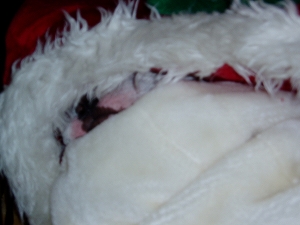 e0066099_2315757.jpg