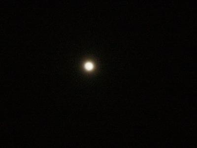 a0018200_1012518.jpg