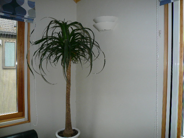 e0028401_218972.jpg