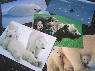 f0032403_142351100.jpg