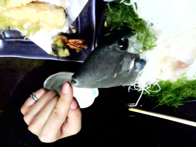 d0070007_2113356.jpg