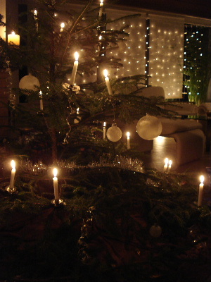 e0089710_52296.jpg