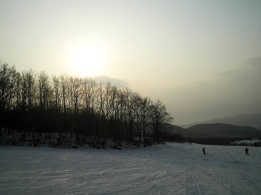 a0022014_053160.jpg