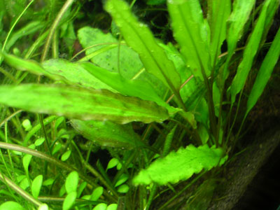 c0095824_05897.jpg