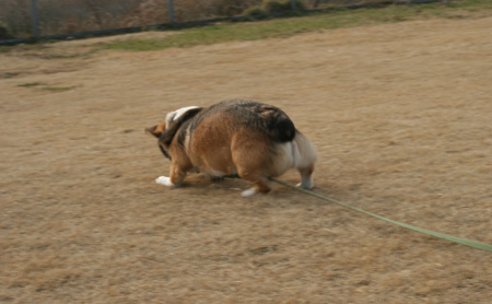 e0071225_21544046.jpg
