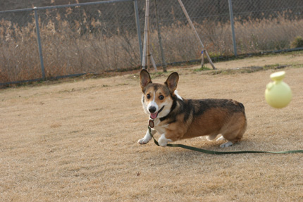 e0071225_22012100.jpg