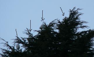 f0118332_19345635.jpg