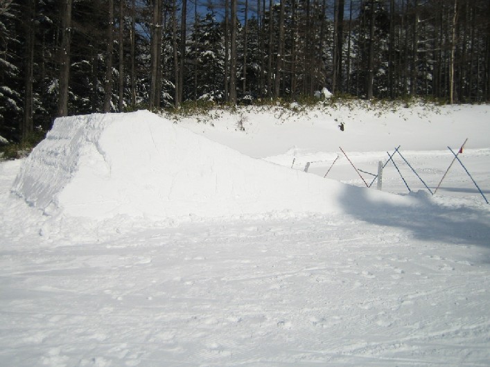 a0005233_132106.jpg