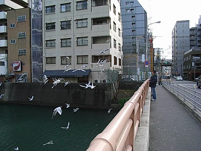 f0040342_20314412.jpg