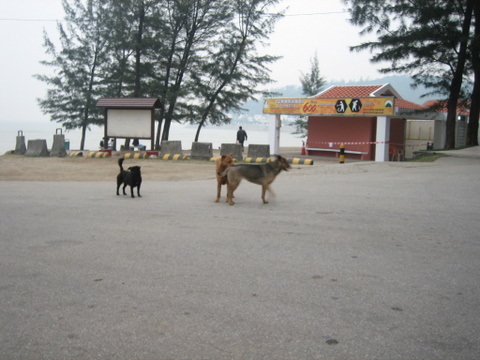 e0018143_3342428.jpg