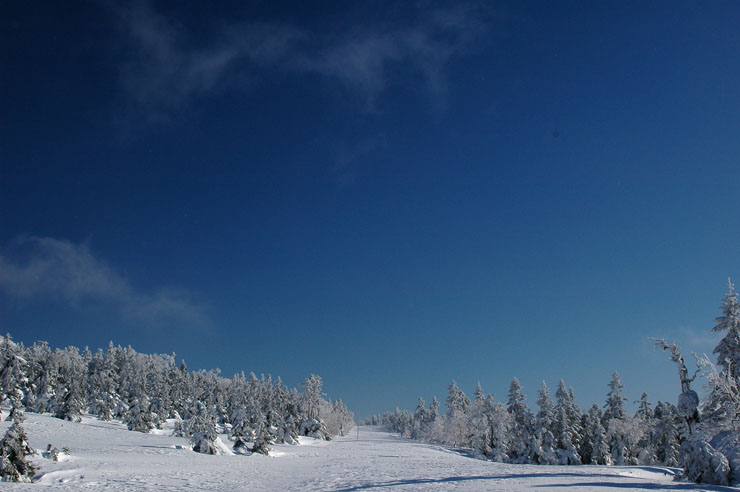 c0077847_19303125.jpg