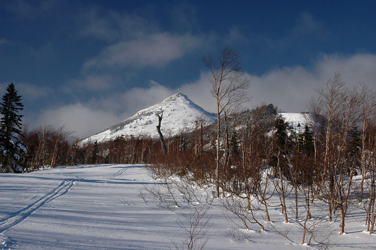 c0077847_19333126.jpg