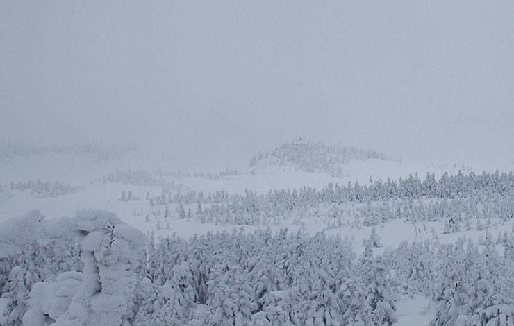 c0077847_19353938.jpg