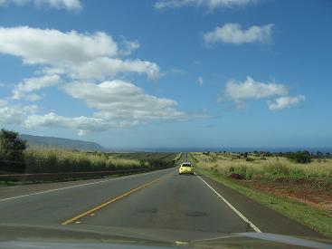 f0053847_151842100.jpg