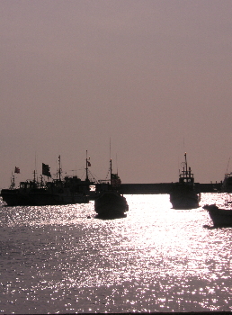 a0003150_22183571.jpg