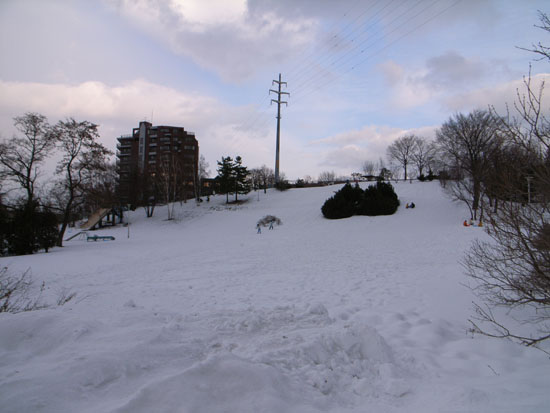 b0049152_10104384.jpg