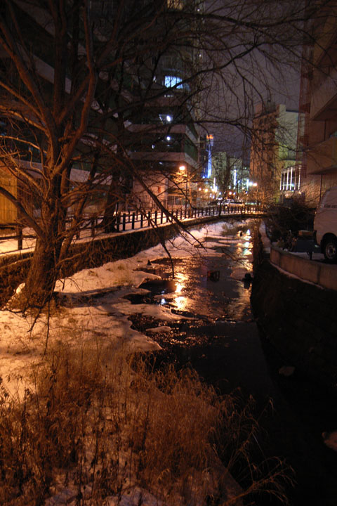 b0049152_18314431.jpg
