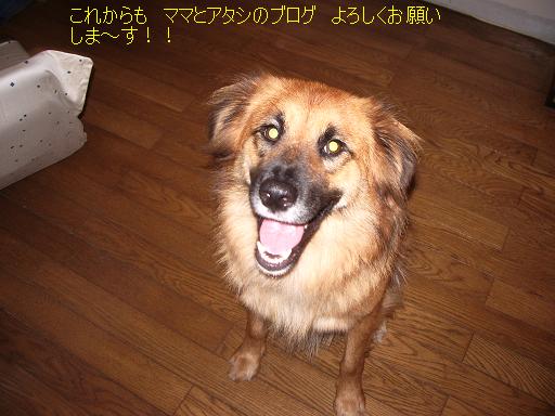 f0034156_2373025.jpg