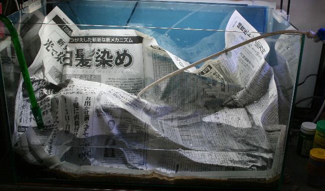 d0090170_22342644.jpg