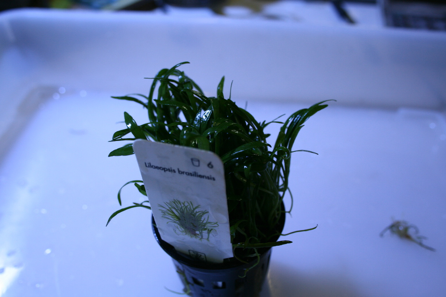 d0090170_22392888.jpg