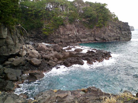 b0060071_2185930.jpg