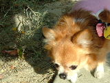 f0052071_521561.jpg