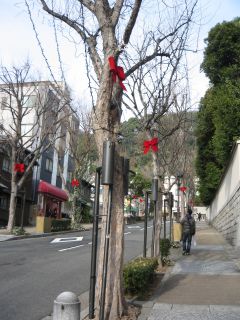 f0124273_16465966.jpg