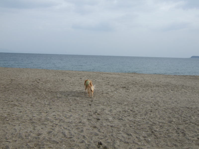 c0104492_0241373.jpg