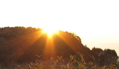 c0096693_1224587.jpg