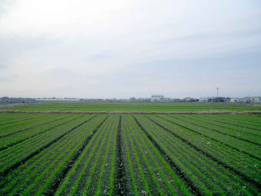 f0122895_07938.jpg