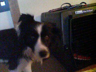 f0090009_16284747.jpg