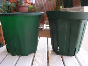 b0031925_8252121.jpg
