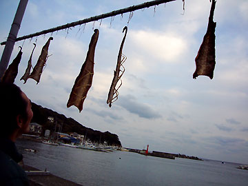 d0023725_20223138.jpg