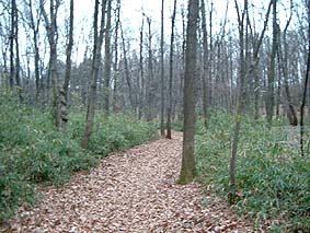 b0025926_2514332.jpg