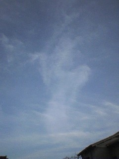 f0076627_1352411.jpg
