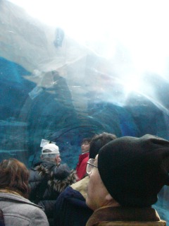 b0009029_21292273.jpg