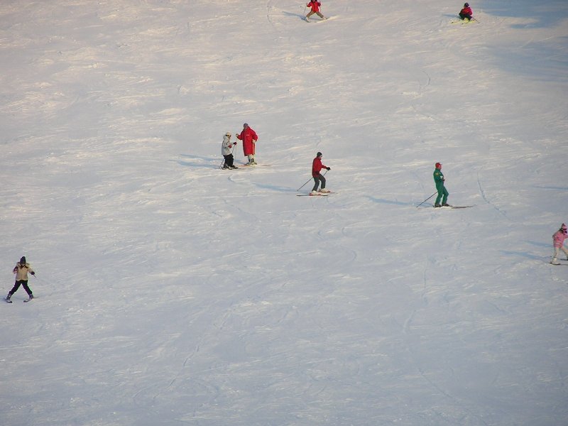b0016836_1644898.jpg