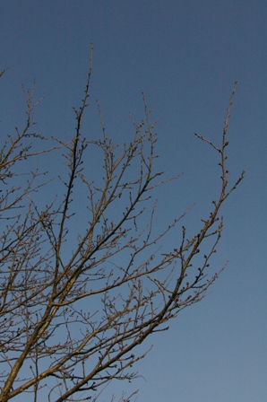 e0086642_17354412.jpg