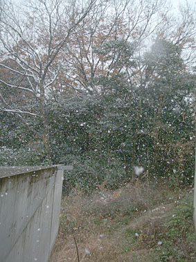 d0025545_742428.jpg