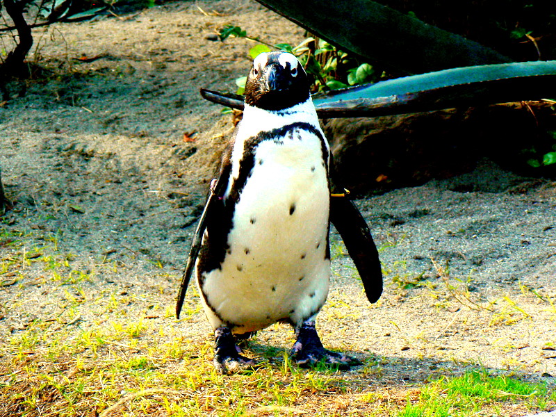 f0097047_065084.jpg