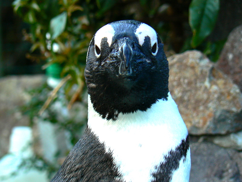 f0097047_07394.jpg