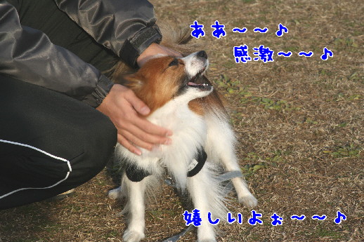 d0013149_22554199.jpg