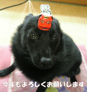 a0009750_10321315.jpg