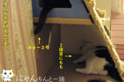 e0031853_12304879.jpg
