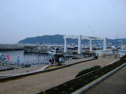 e0088654_232584.jpg