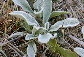 f0062055_1055255.jpg