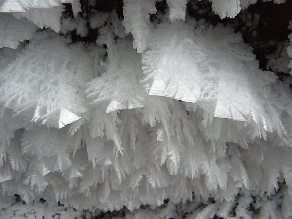 d0021258_224394.jpg