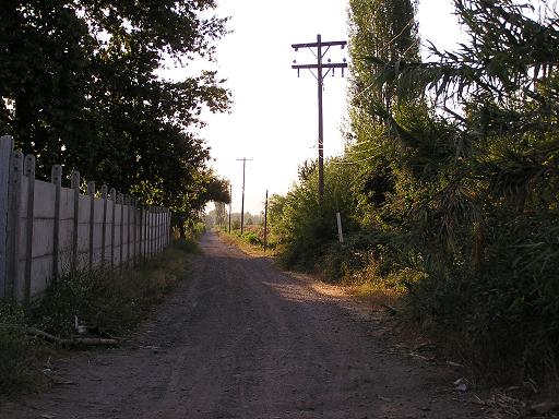 c0103368_5102065.jpg