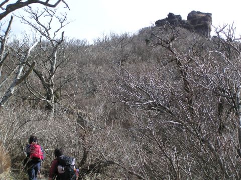 c0042869_1832462.jpg