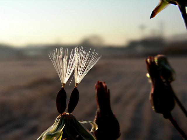 a0044076_21513929.jpg